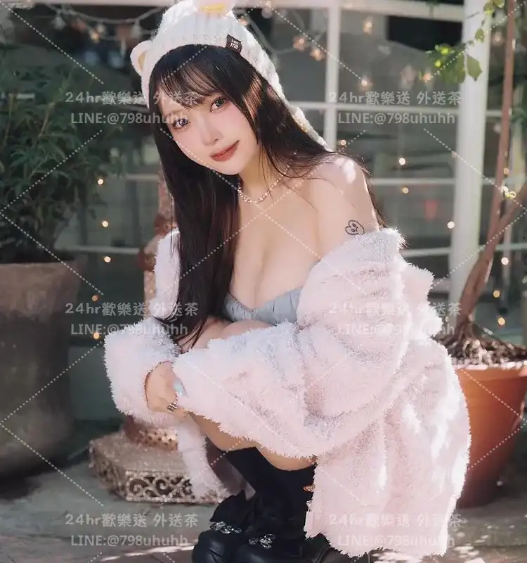 桃園約砲 向嵐